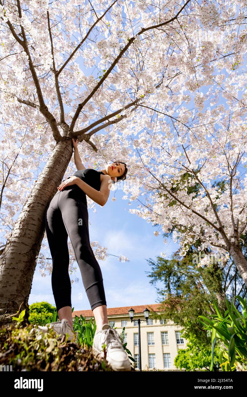 Teenage Dancer femminile sotto gli alberi di ciliegia a UC Berkeley Foto Stock