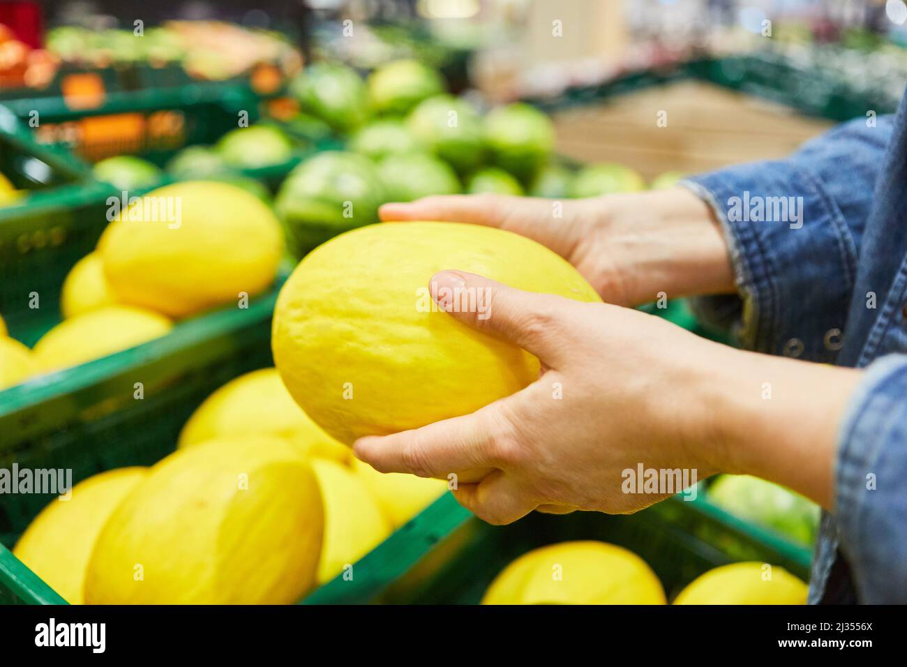 Due mani tengono un melone di nido d'ape mentre si acquista nel reparto verdura e frutta Foto Stock