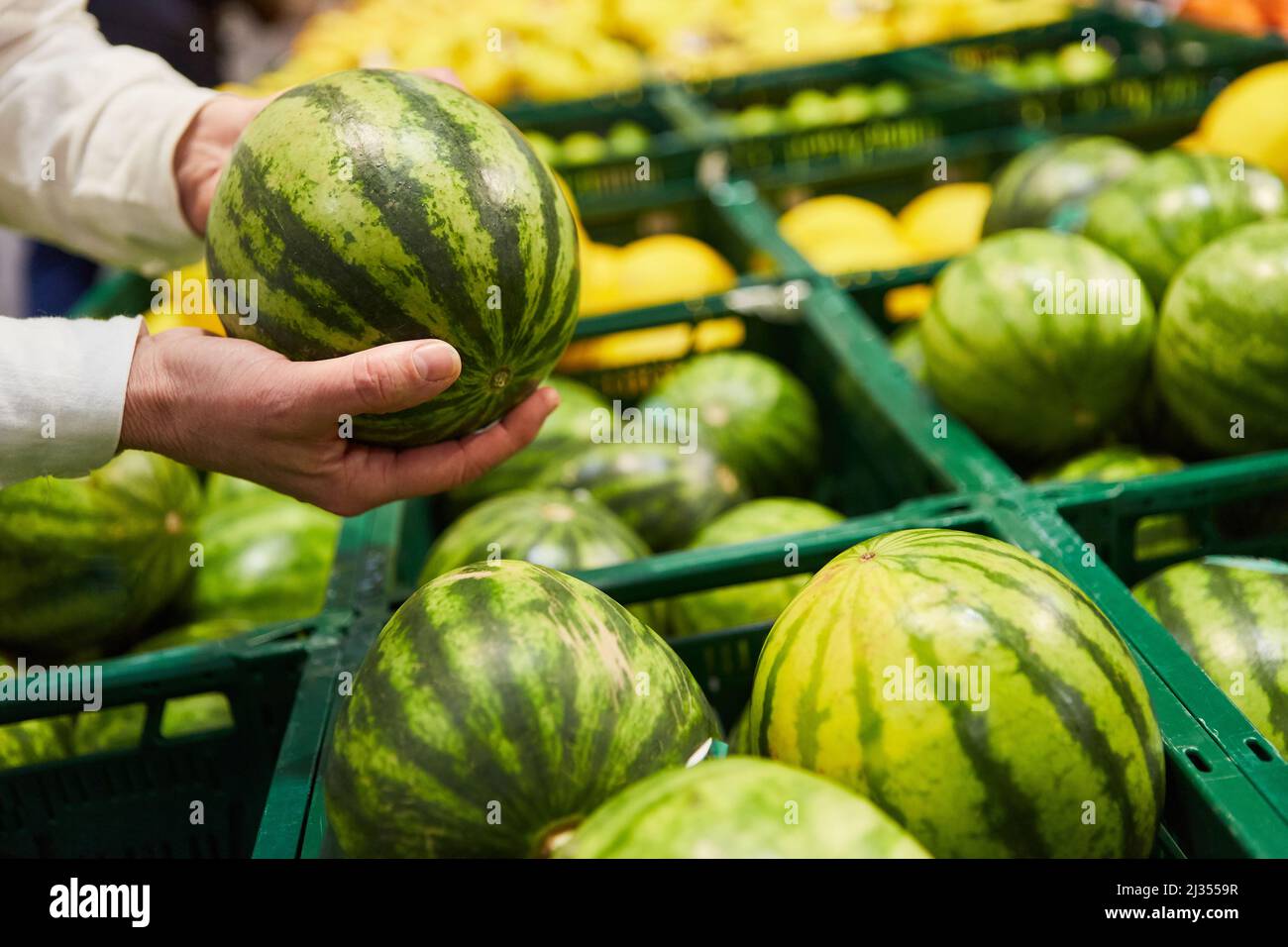 Due mani che tengono il cocomero mentre si acquista nel supermercato nella sezione frutta e verdura Foto Stock