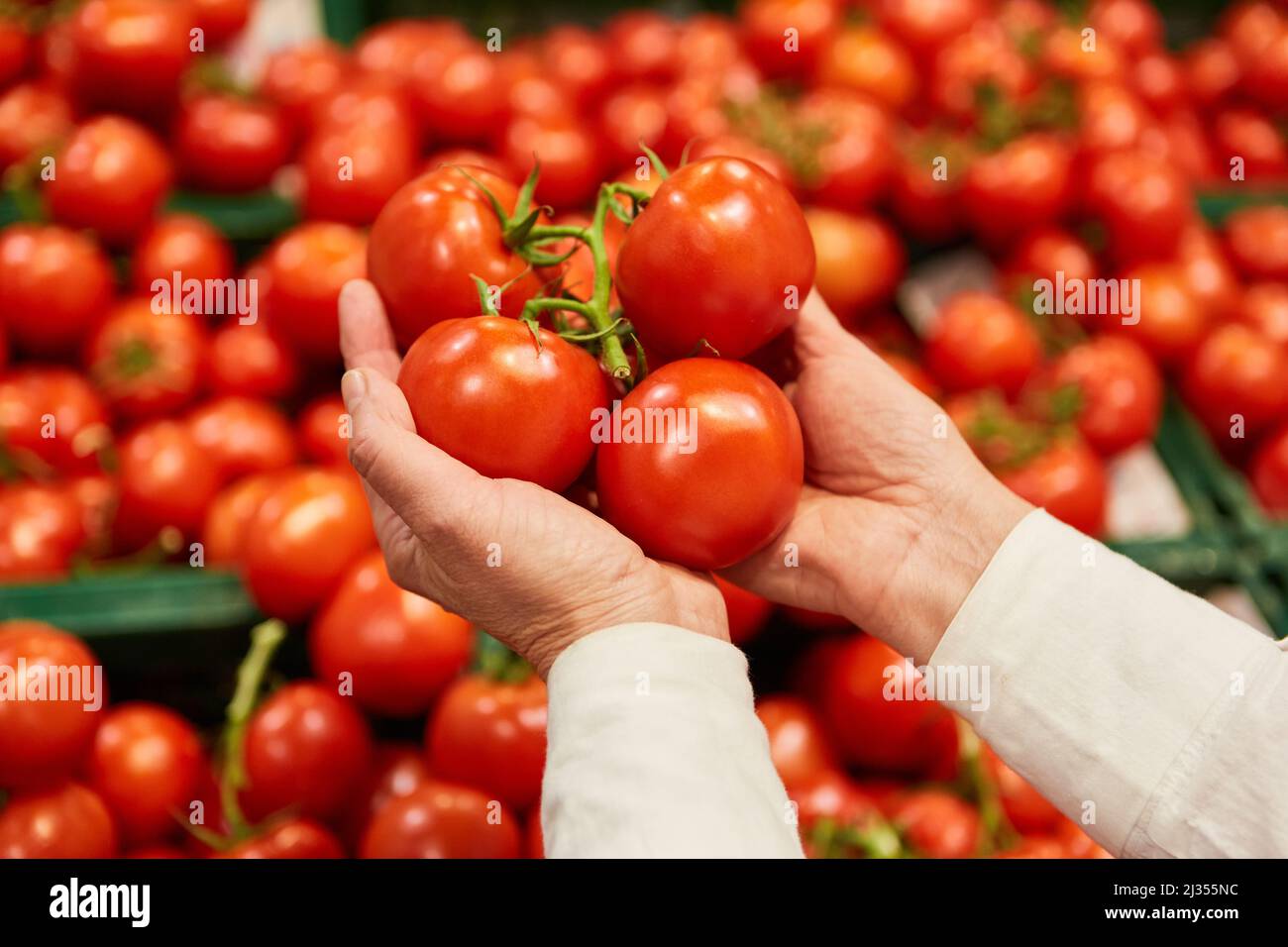 Mani che tengono pomodori locali biologici nel reparto frutta mentre shopping nel supermercato Foto Stock
