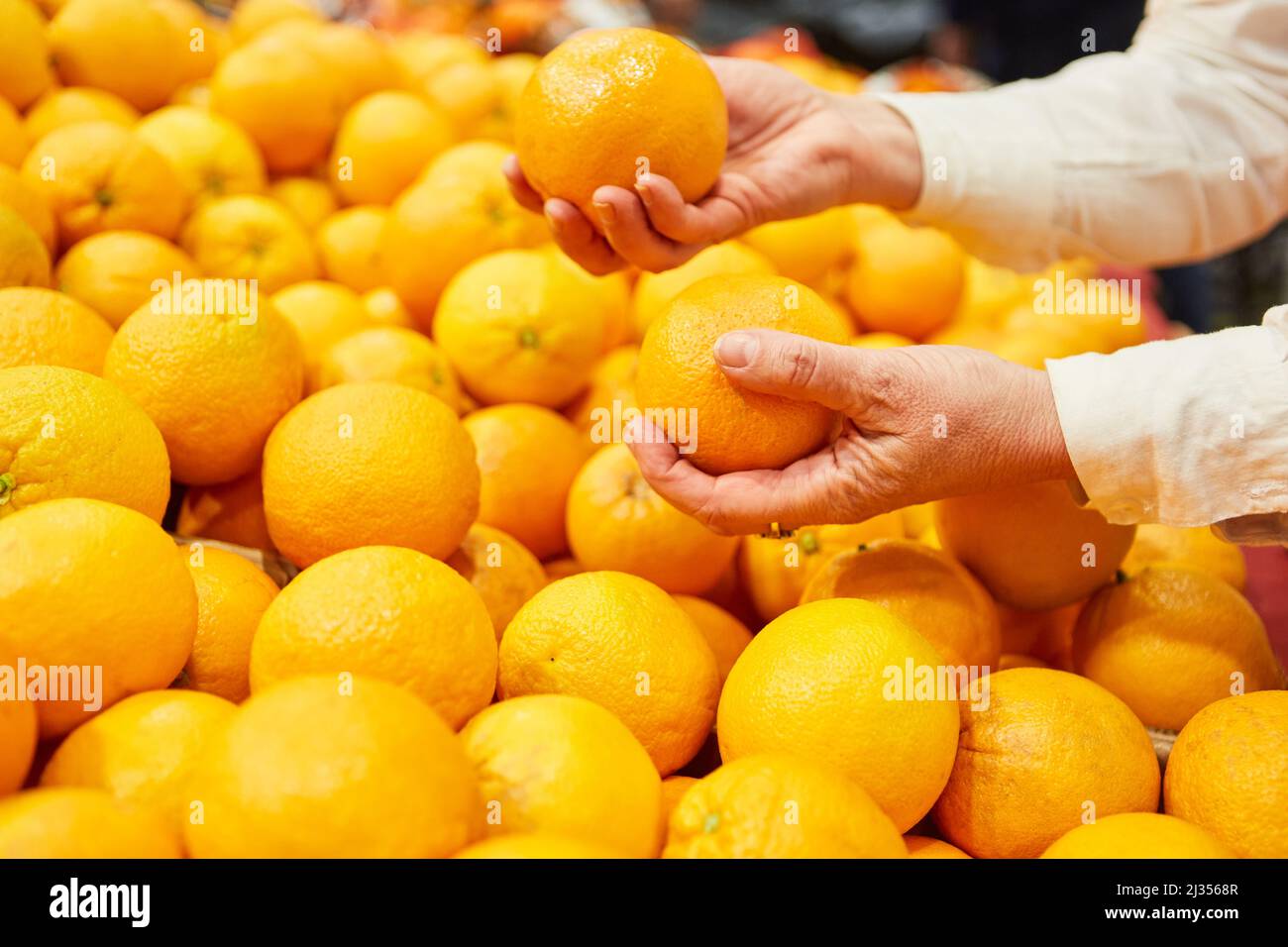 Le mani di un cliente tengono le arance mentre acquistano nel mercato o nel supermercato Foto Stock