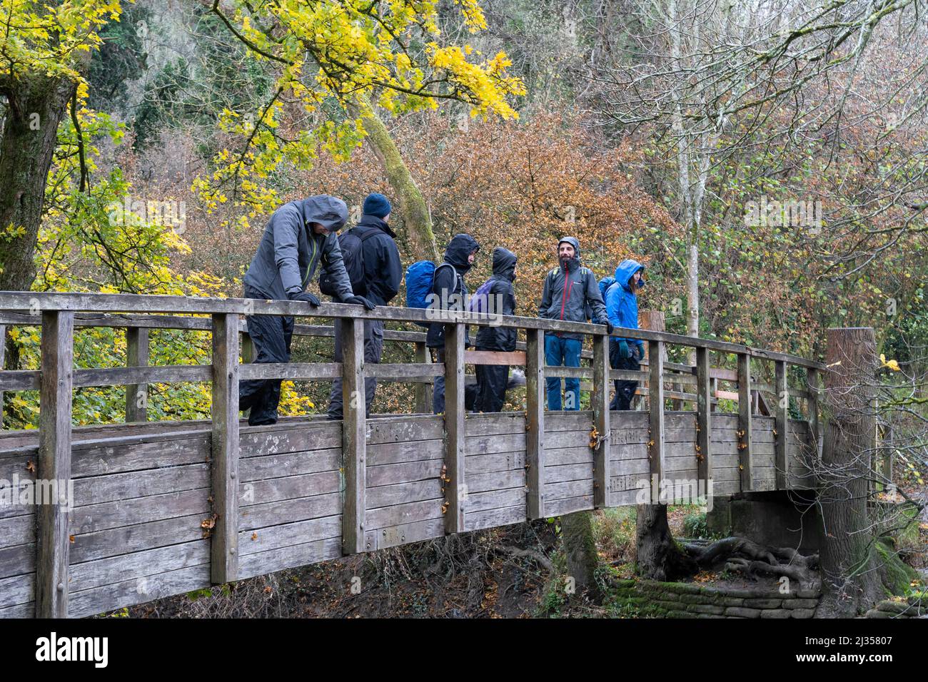 Un gruppo di amici in un'escursione a piedi su un ponte pedonale di legno sul fiume Mole accanto alle famose Stepping Stones. Box Hill, Surrey, Regno Unito Foto Stock
