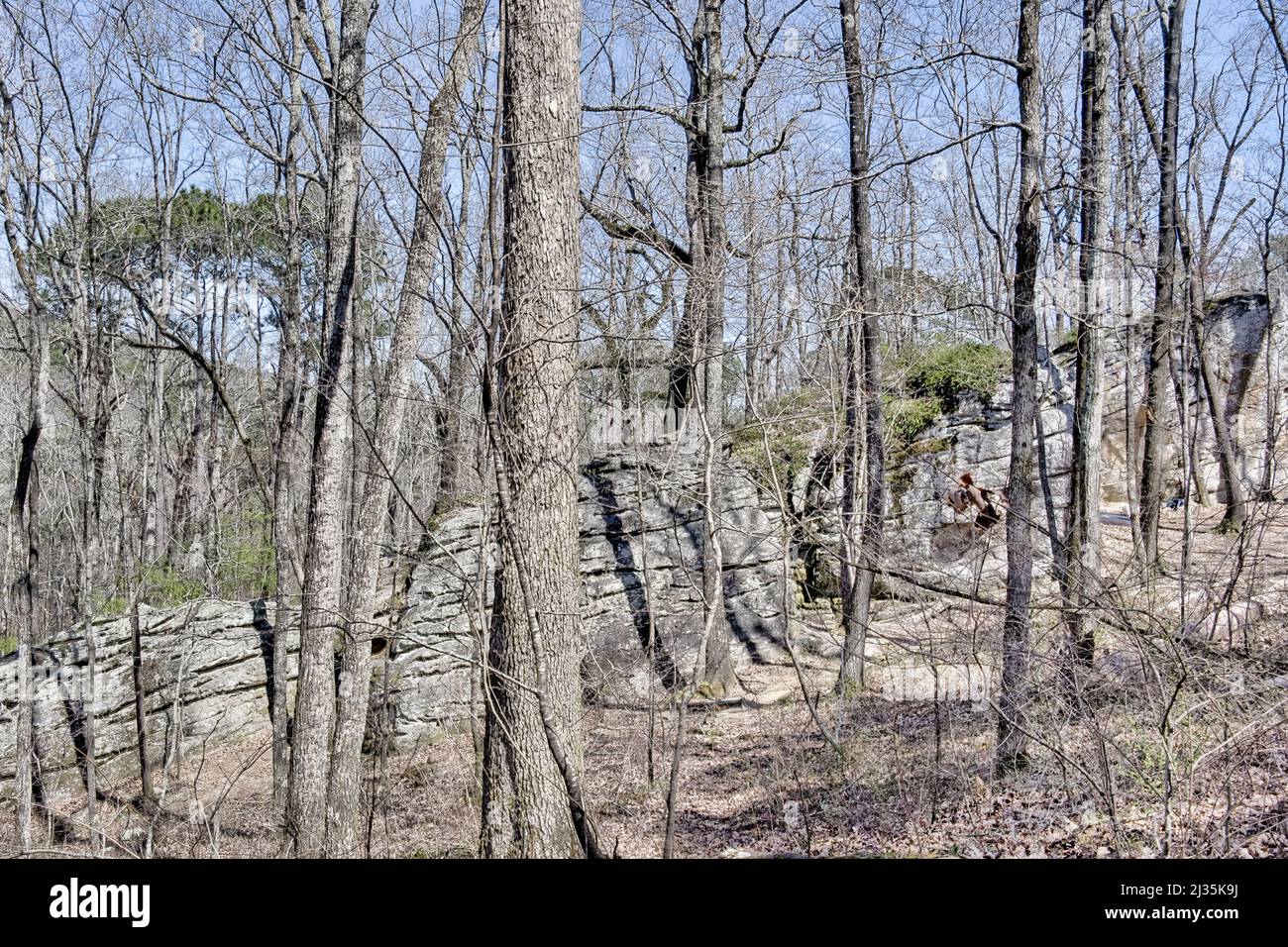 Massi alla Moss Rock Preserve di Hoover, Alabama, USA Foto Stock