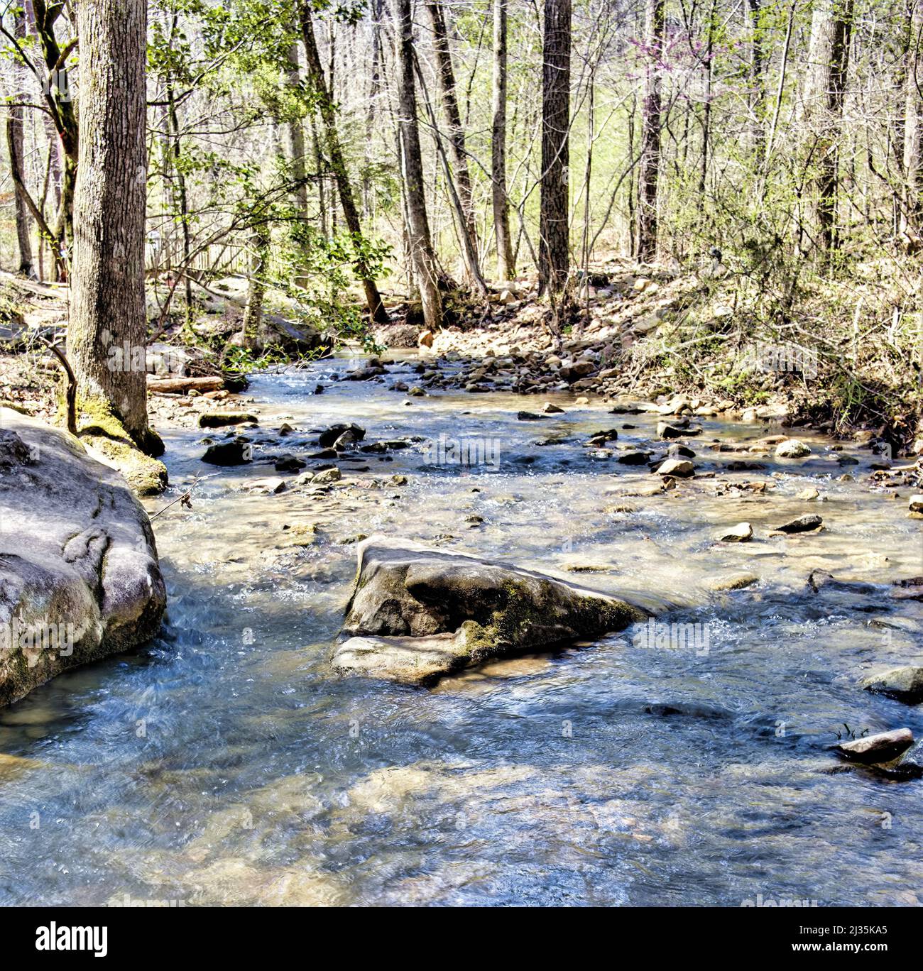 Massi alla Moss Rock Preserve di Hoover, Alabama, USA Foto Stock