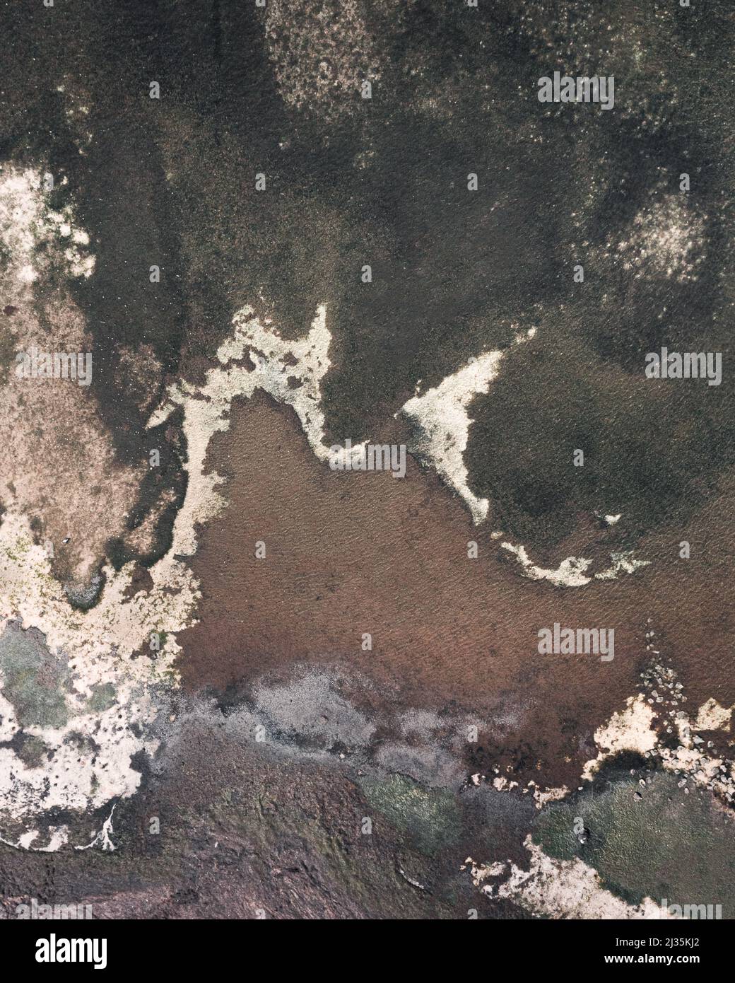 M forma della lettera in natura Foto Stock