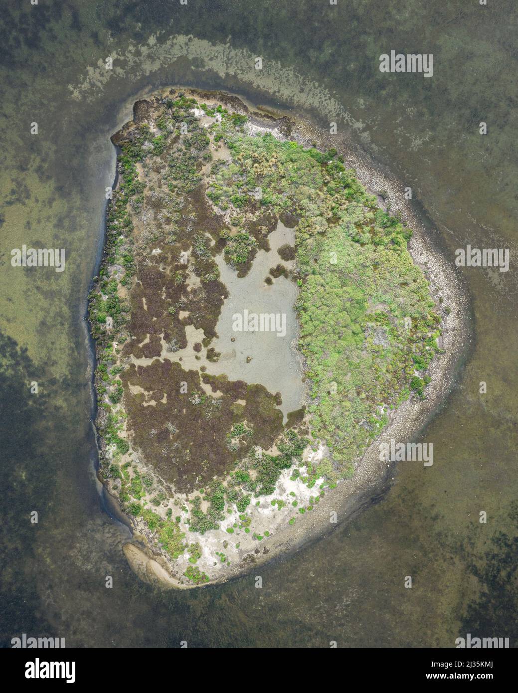 Forma della lettera D in natura Foto Stock
