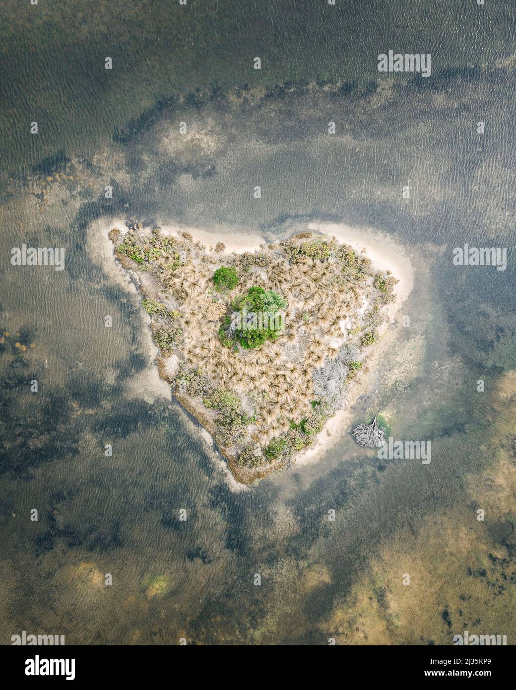 Forma della lettera D in natura Foto Stock