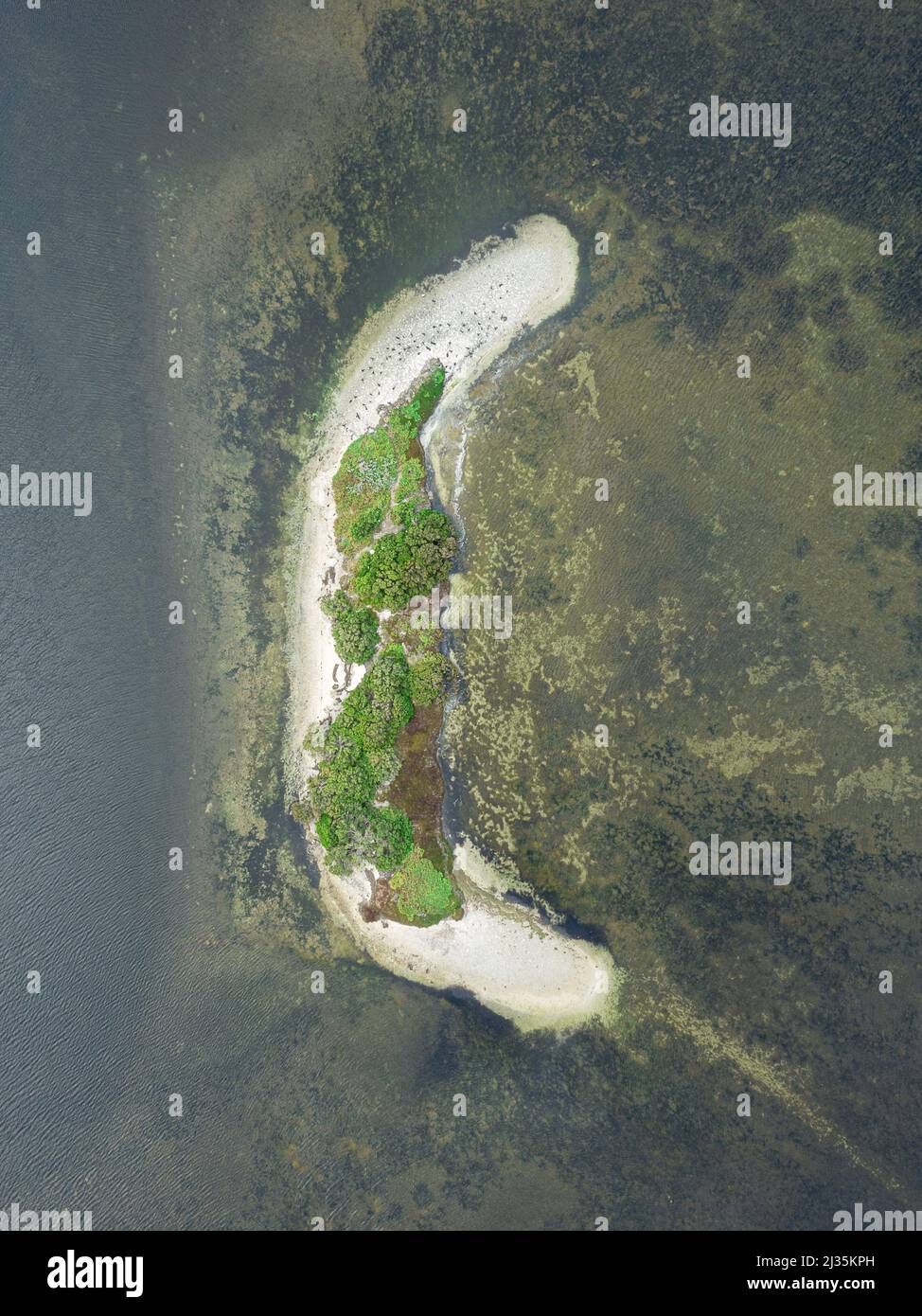 Forma della lettera c . vista dall'alto in natura Foto Stock