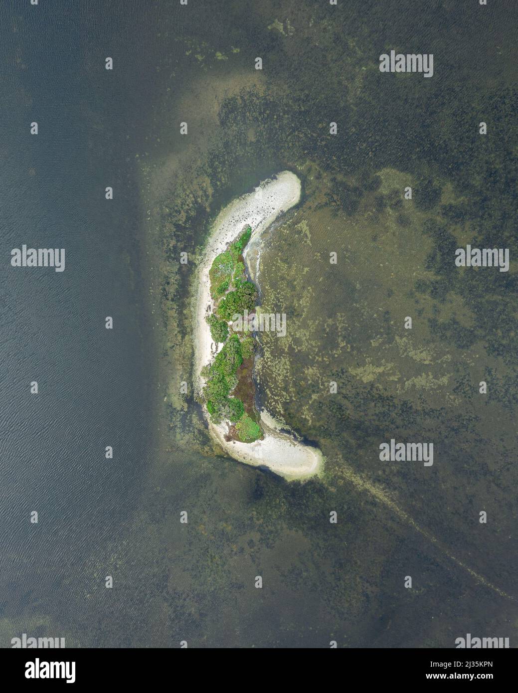 Forma della lettera c . vista dall'alto in natura Foto Stock