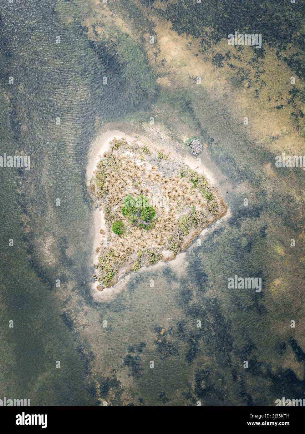 Forma della lettera D in natura Foto Stock