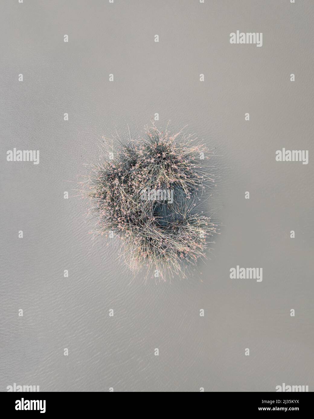 Forma della lettera c . vista dall'alto in natura Foto Stock