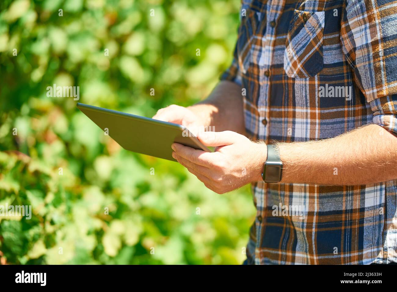 La rivoluzione digitale sta cambiando il volto dell’agricoltura. Scatto ritagliato di un agricoltore utilizzando un tablet digitale mentre fa i suoi round. Foto Stock