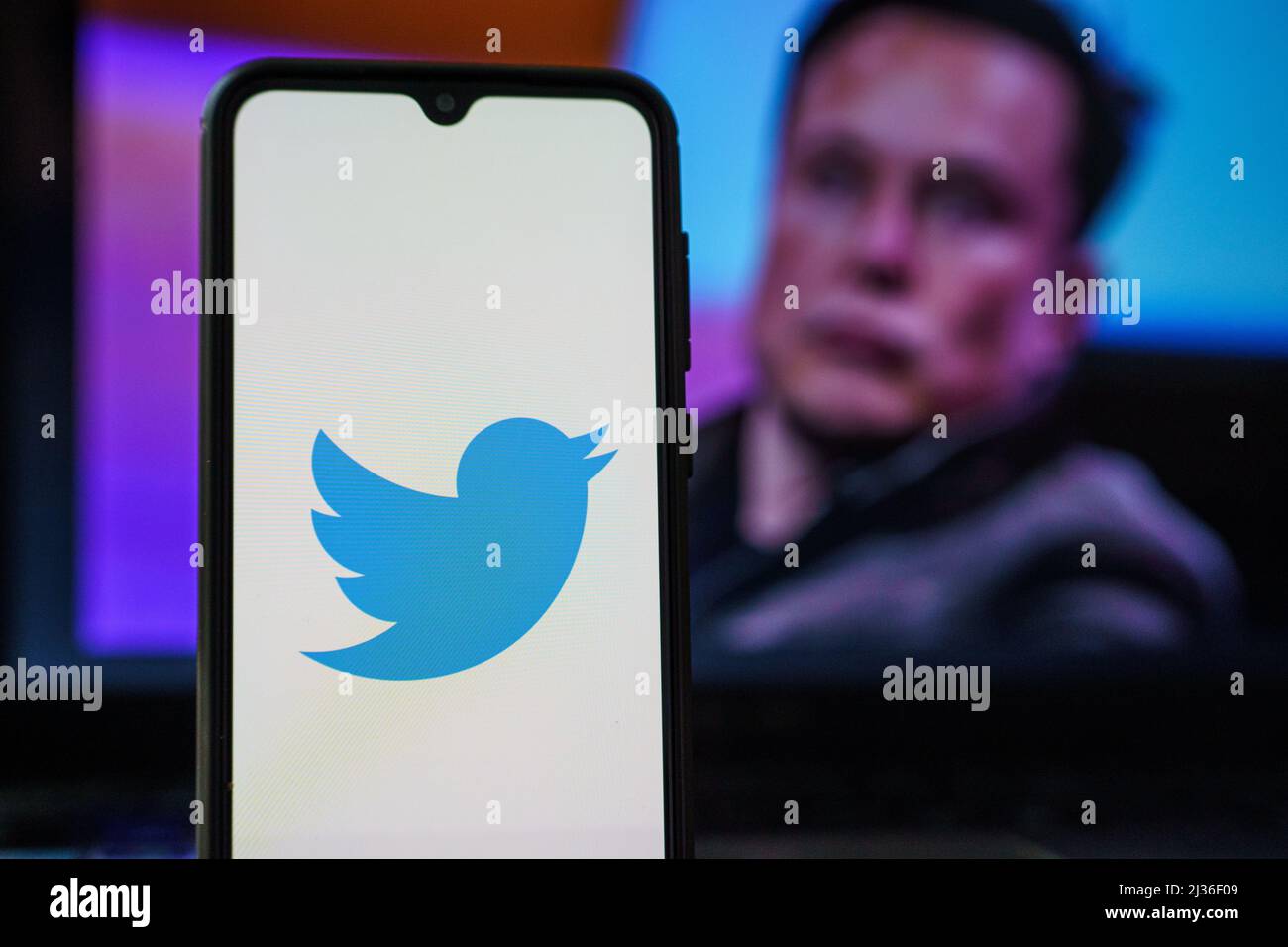Logo Twitter sullo smartphone e Elon Musk sullo sfondo. Elon Musk entra a far parte del forum Twitter Foto Stock