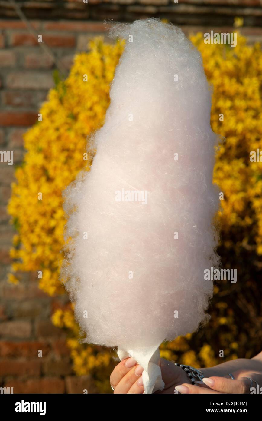 Candy maker immagini e fotografie stock ad alta risoluzione Alamy