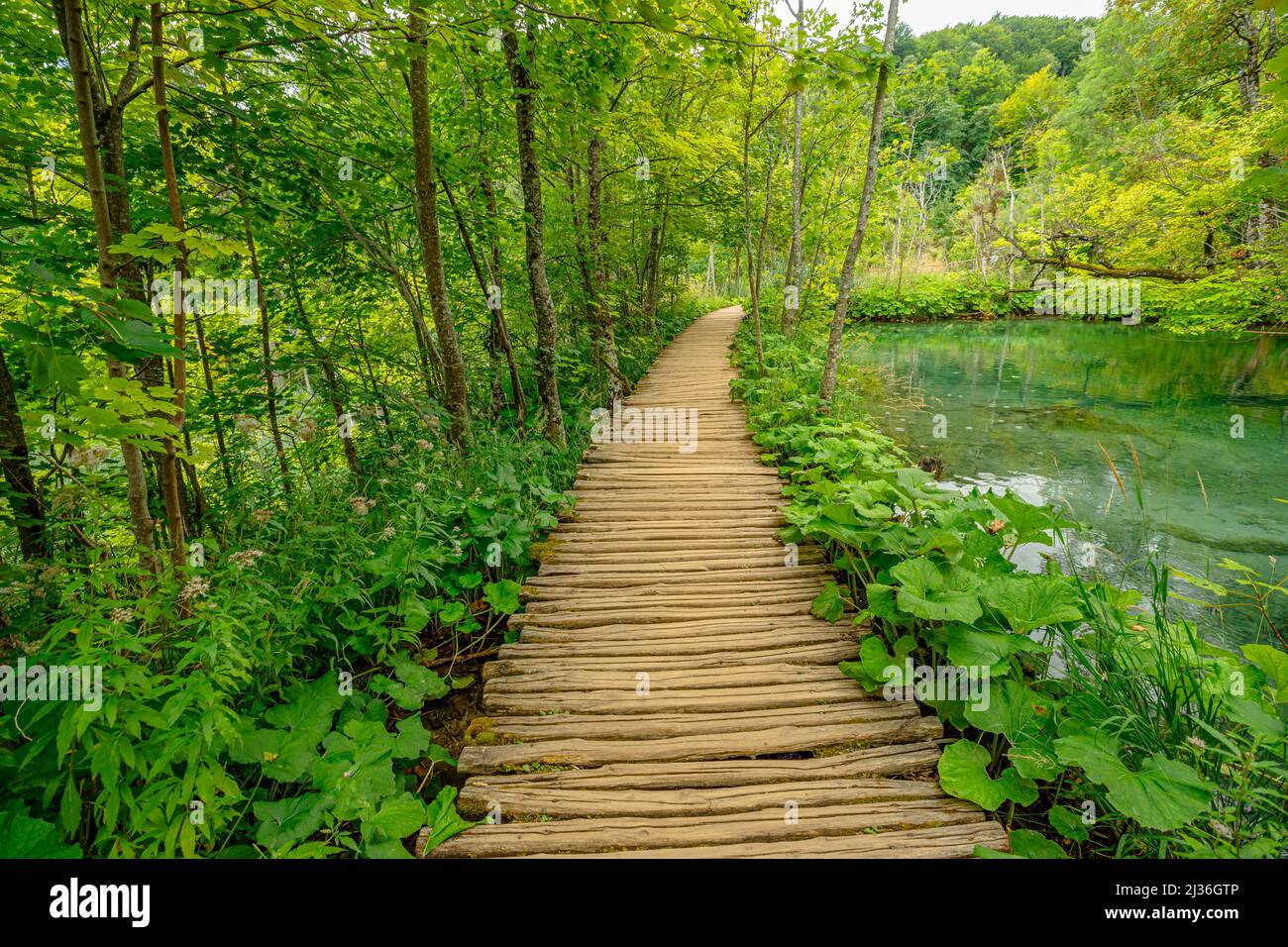 Camminando sul molo di legno del lago Milino Jezero. Parco Nazionale dei Laghi di Plitvice in Croazia nella regione di Lika. Patrimonio mondiale dell'UNESCO della Croazia Foto Stock
