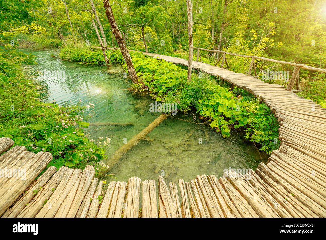 Sole sul ponte in legno del molo di Milino Jezero leke del Parco Nazionale dei Laghi di Plitvice in Croazia nella regione di Lika. Patrimonio mondiale dell'UNESCO di Foto Stock