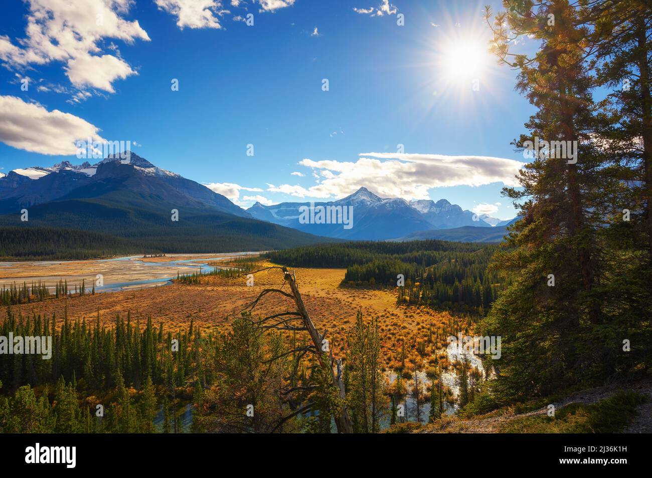 Punto panoramico Howse Pass nel Parco Nazionale di Banff, Canada Foto Stock