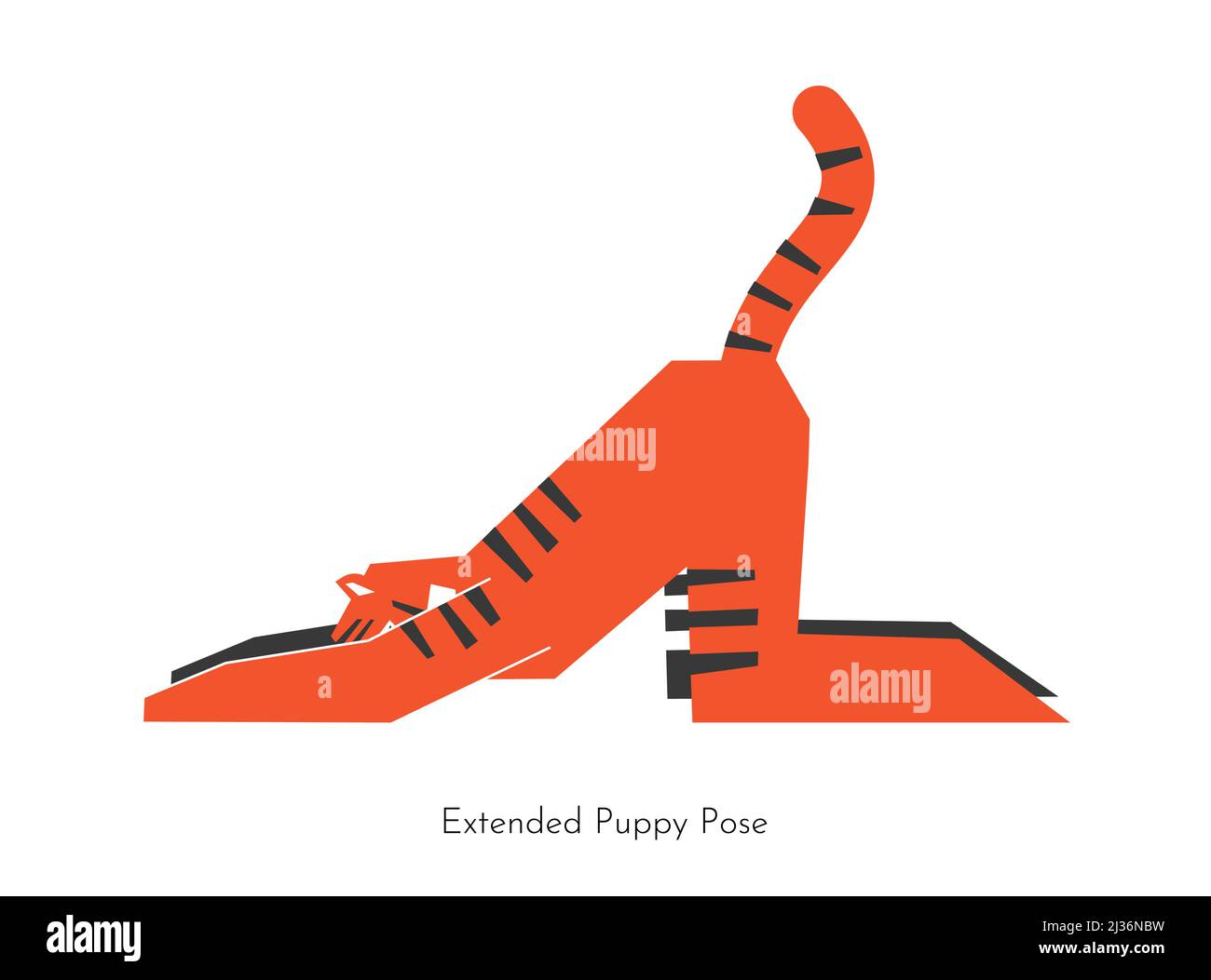 Illustrazione isolata vettoriale con fumetto animale apprendimento pratica yoga - Utttana Shishosana. La tigre cinese fa la posa estesa del cucciolo. Simplif Illustrazione Vettoriale