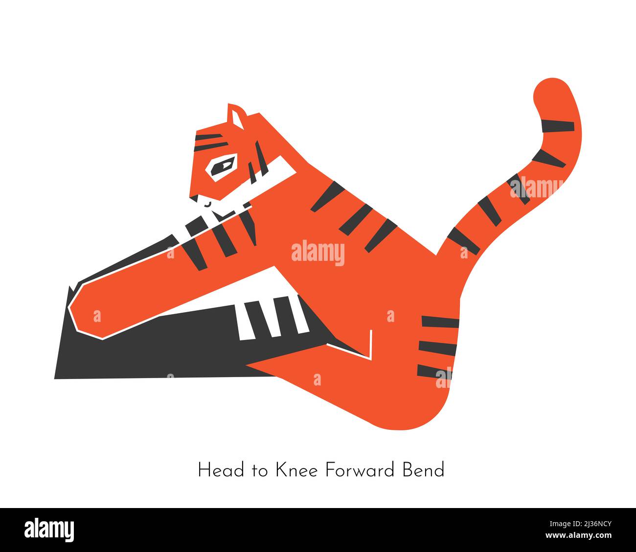 Concetto isolato vettoriale con cartoon flat animale apprendimento forward bend yoga pratica - Janu Sirsasana. La tigre asiatica fa la posa di piegatura in avanti di testa a ginocchio Illustrazione Vettoriale