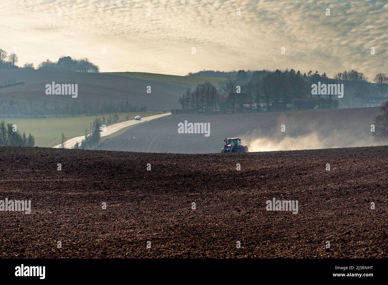 Lavoro agricolo di primavera alla luce del mattino presto. Spandimento del fertilizzante con il trattore. Assens, Danimarca, Europa Foto Stock