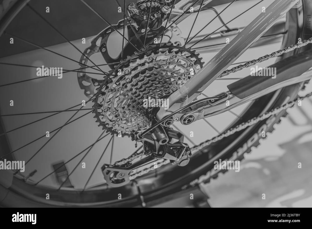 cassetta e deragliatore posteriore per bicicletta con impianto frenante a disco colore bianco e nero per lo sfondo Foto Stock
