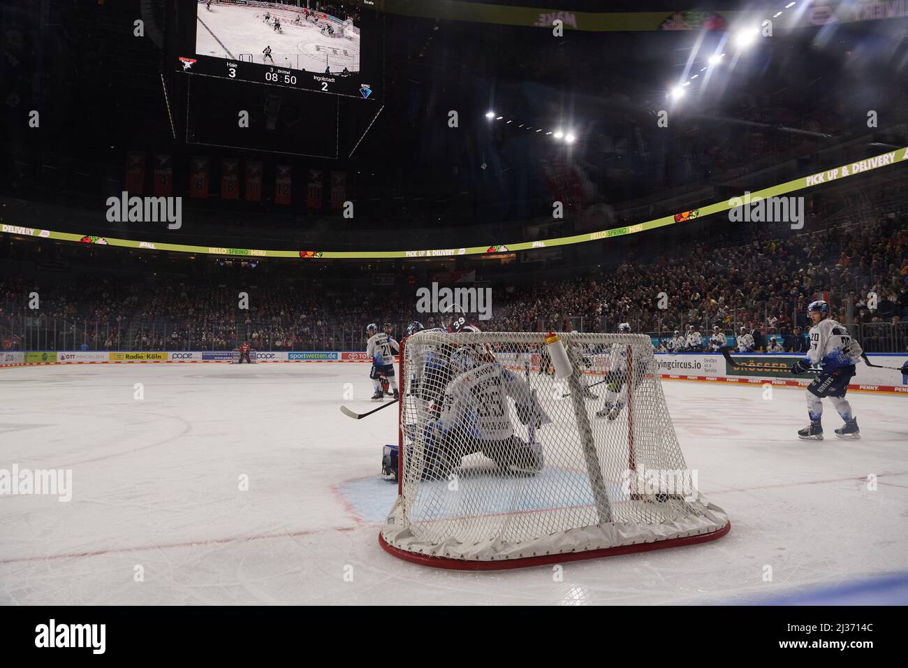 COLONIA, GERMANIA - 5 APRILE 2022: Partita di hockey DEL Kölner Haie - ERC Ingolstadt Foto Stock