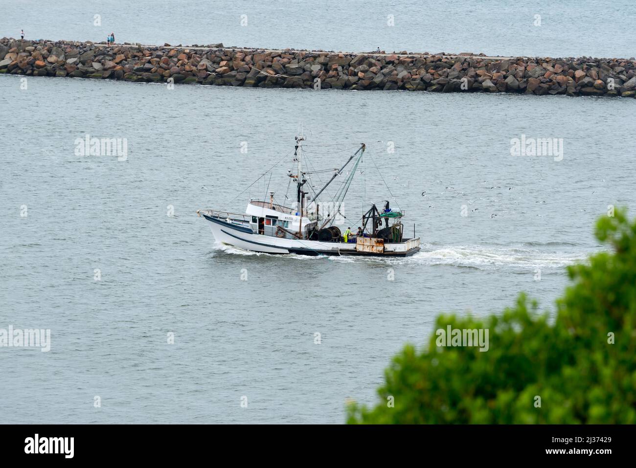 Gli uomini si levano in piedi a metà nave su un peschereccio che pulisce i pesci seguiti da vicino dagli uccelli marini mentre la barca entra nel porto di Newcastle nel nuovo Galles del Sud, Australia Foto Stock