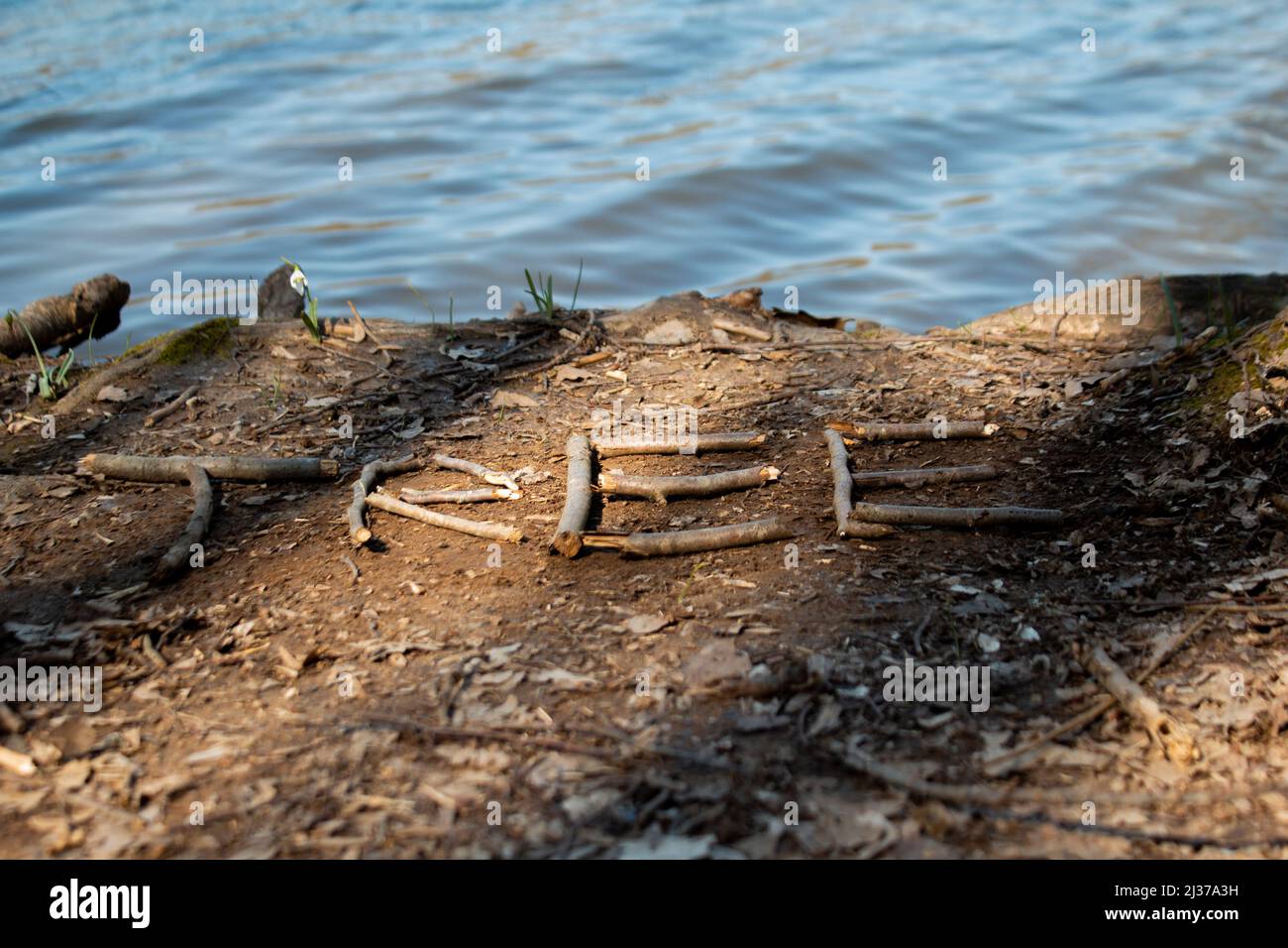 Testo dell'albero fatto con un bastone di legno, scrittura dell'albero nella foresta, lago Foto Stock