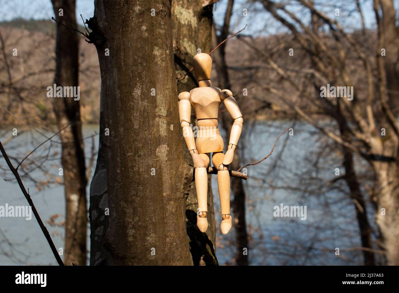 Manichino di legno seduto su un ramo d'albero, burattino di legno sul corpo dell'albero, fuoco selettivo, concetto d'autunno, foresta e lago sfocato sullo sfondo Foto Stock