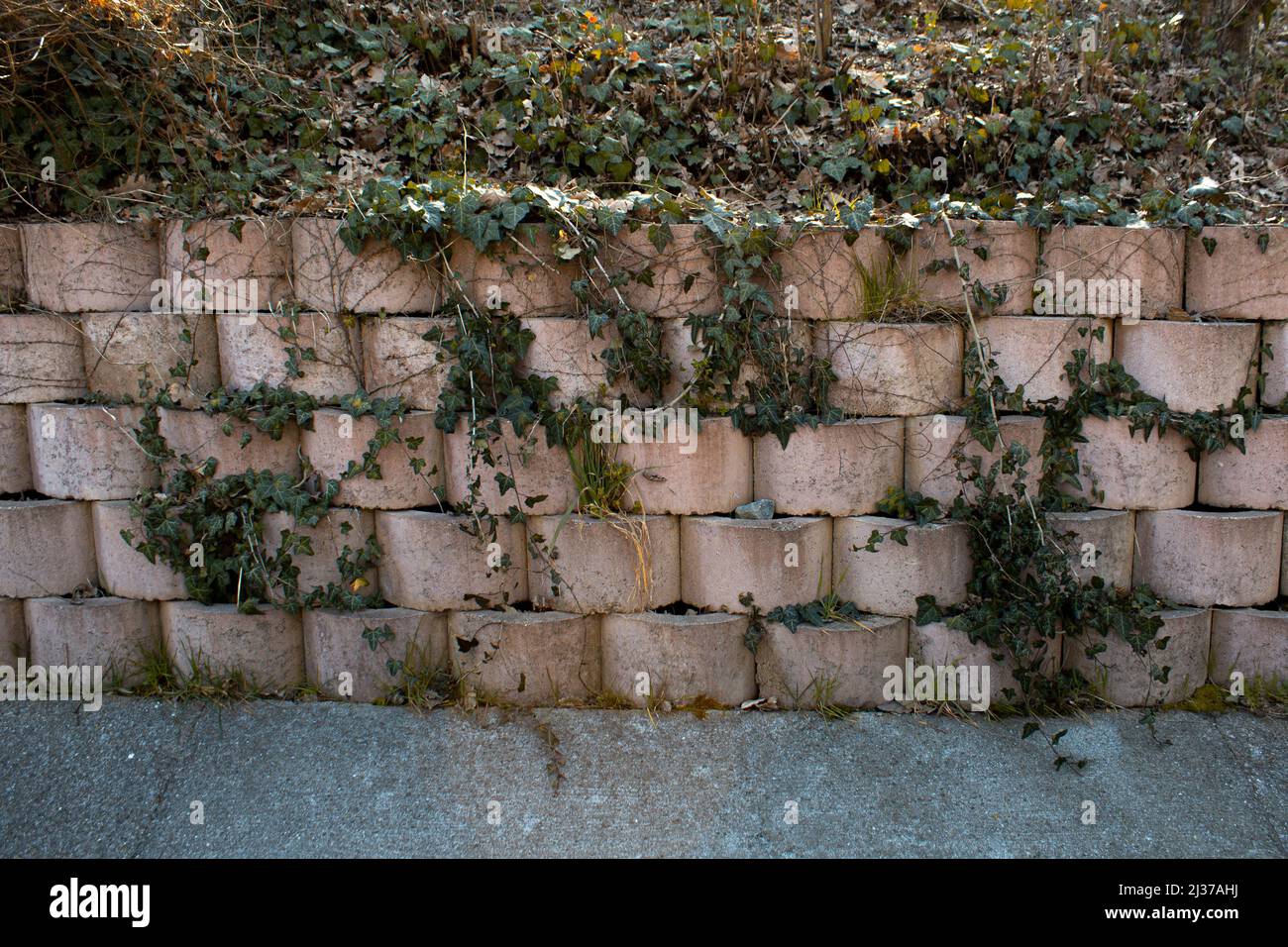 Muro in mattoni di pietra giardino, paesaggio con erbe verdi, struttura rocciosa e piante, vista frontale Foto Stock