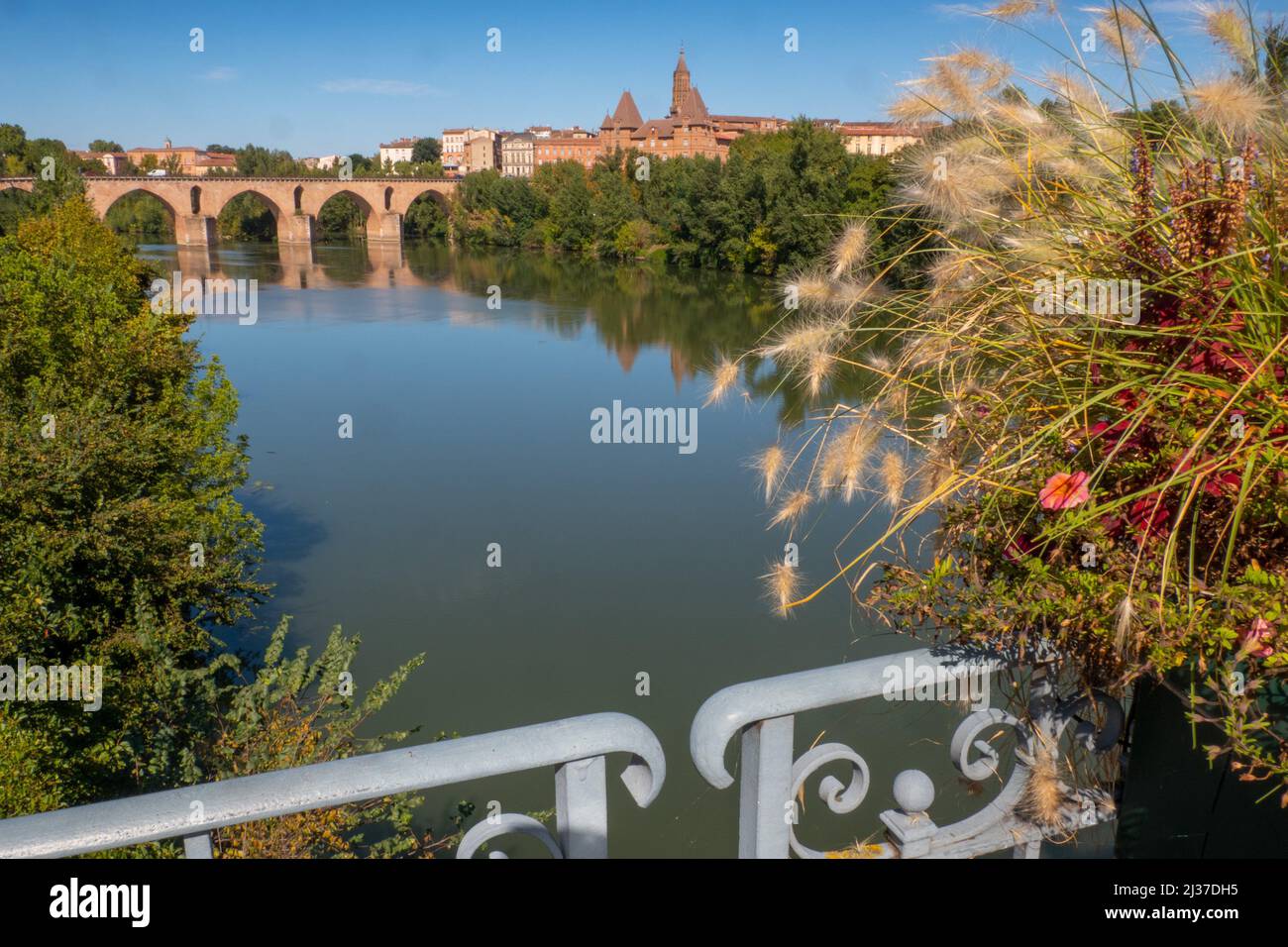 Francia, Occitanie, Tarn et Garonne, la città di Montauban sul fiume Tarn. Foto Stock