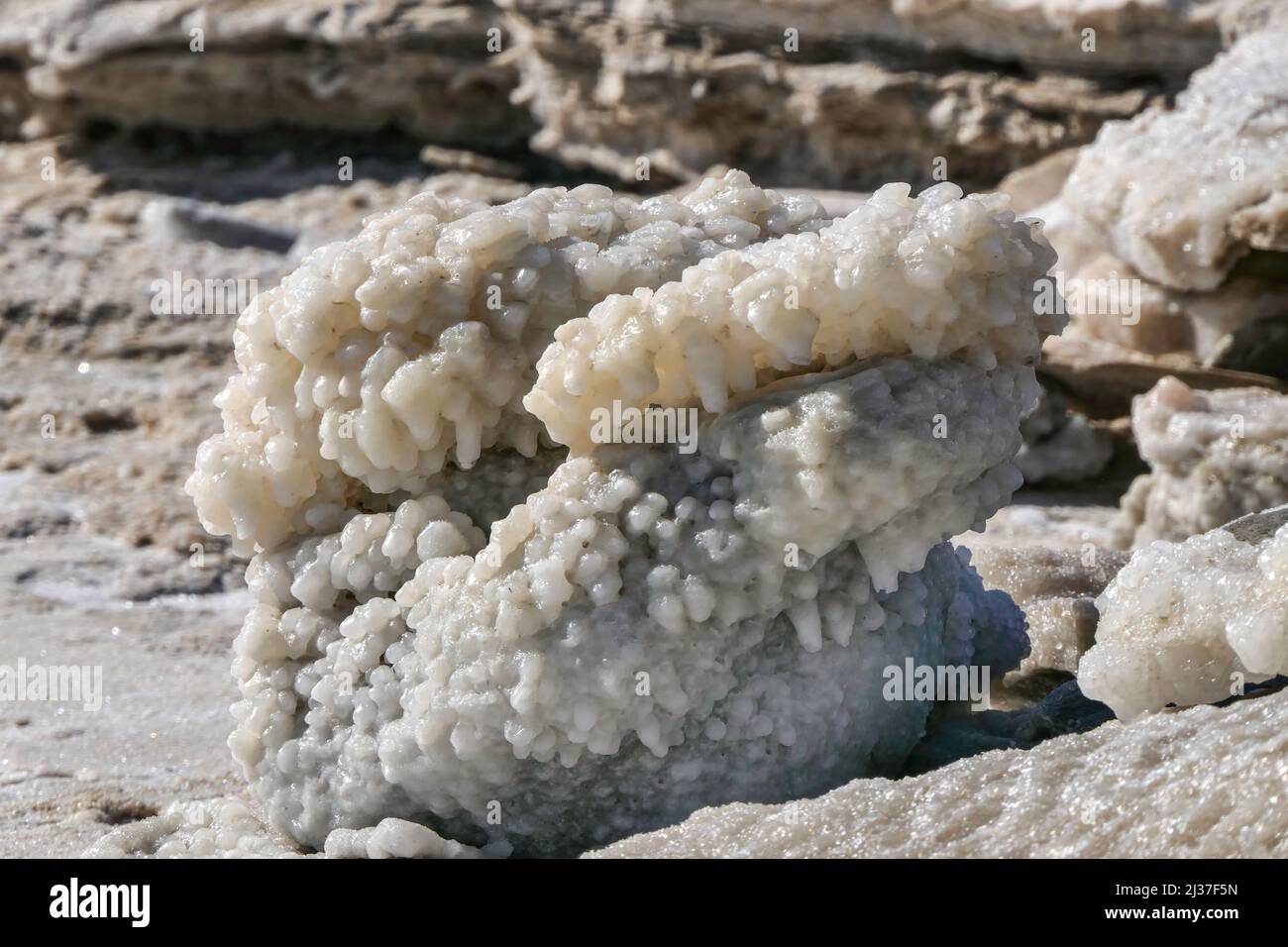 I cristalli di sale rotondi del Mar Morto si avvicinano ai raggi del sole. Israele Foto Stock