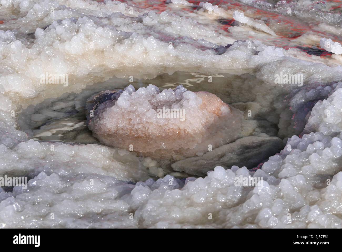 I cristalli di sale rotondi del Mar Morto si avvicinano ai raggi del sole. Israele Foto Stock