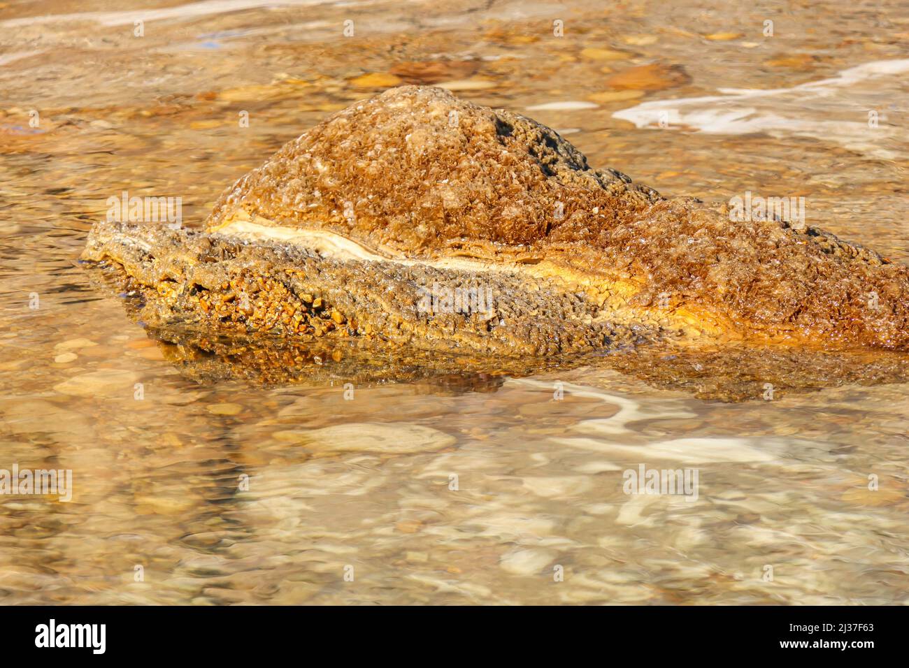 I cristalli di sale rotondi del Mar Morto si avvicinano ai raggi del sole. Israele Foto Stock