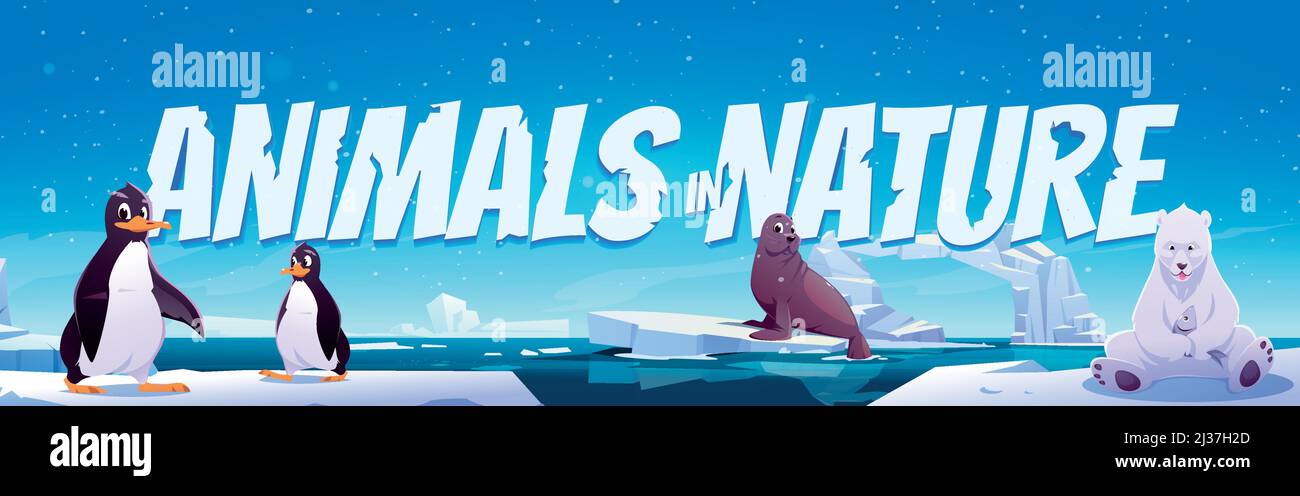 Animali in natura cartoni animati. Pinguini selvatici, orso polare e foca siedono su galleggianti di ghiaccio in mare. Antartide o abitanti del Polo Nord in zona esterna, oc Illustrazione Vettoriale