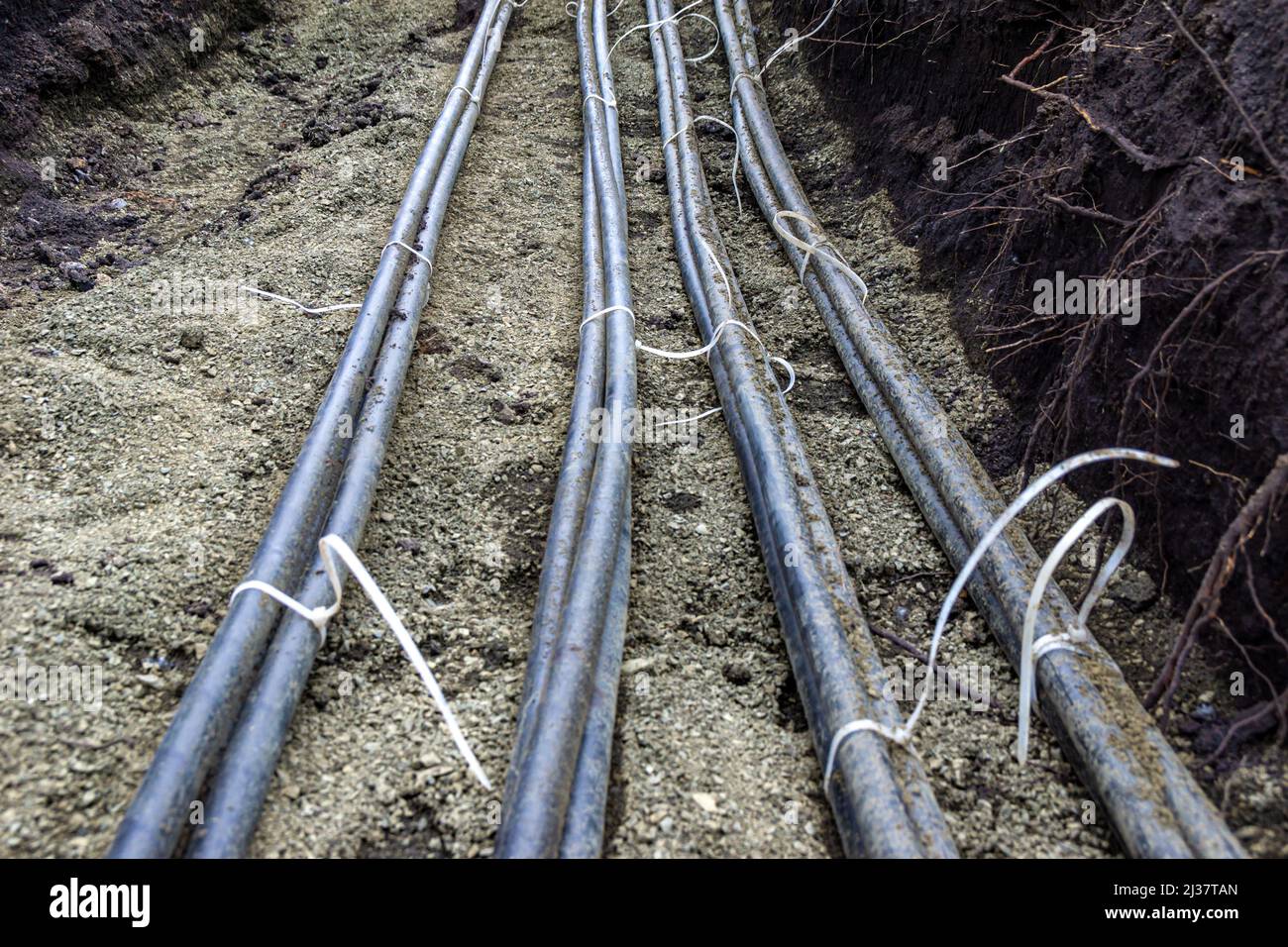 posa di quattro linee di cavi collegate con fascette da tre cavi in una trincea su una base spruzzata, seguita da protezione del cavo con mattoni, sel Foto Stock