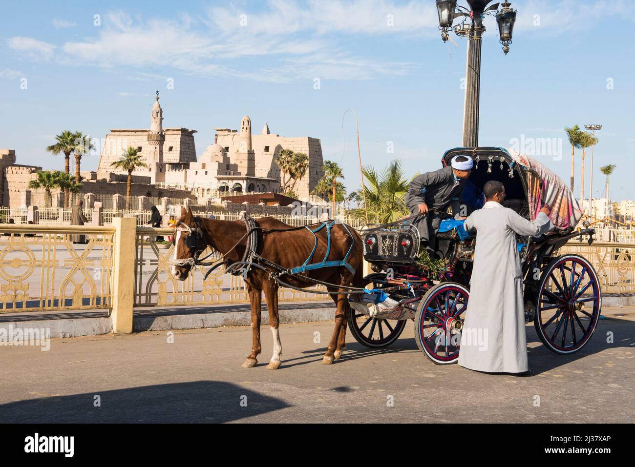 Carrozza trainata da cavalli di fronte al tempio di Luxor, Egitto, Africa nord-orientale. Foto Stock