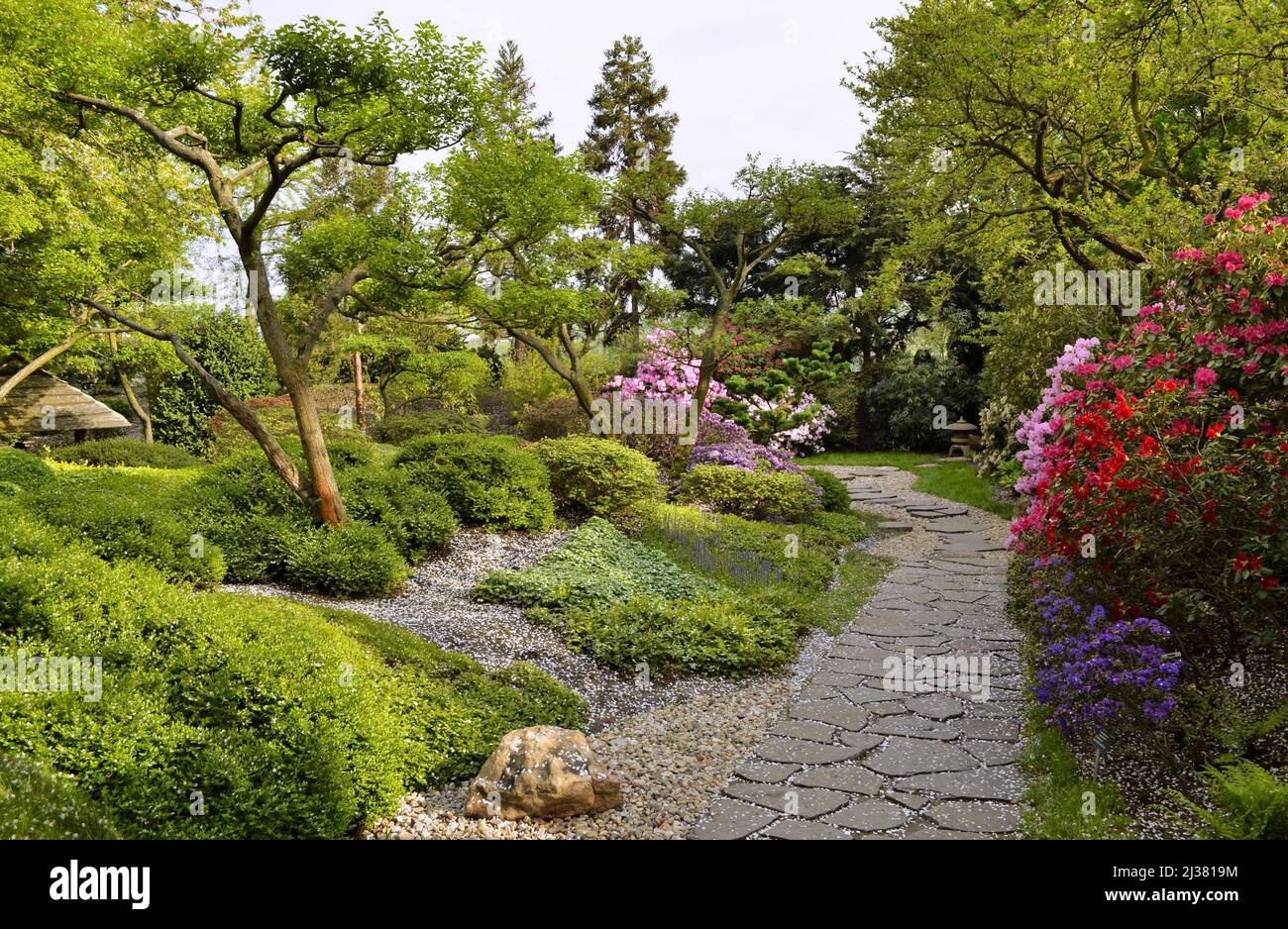 Giardino Botanico di Troja a Praga Repubblica Ceca. Giardino giapponese con vegetazione lussureggiante e azalee fiorenti in primavera. Foto Stock