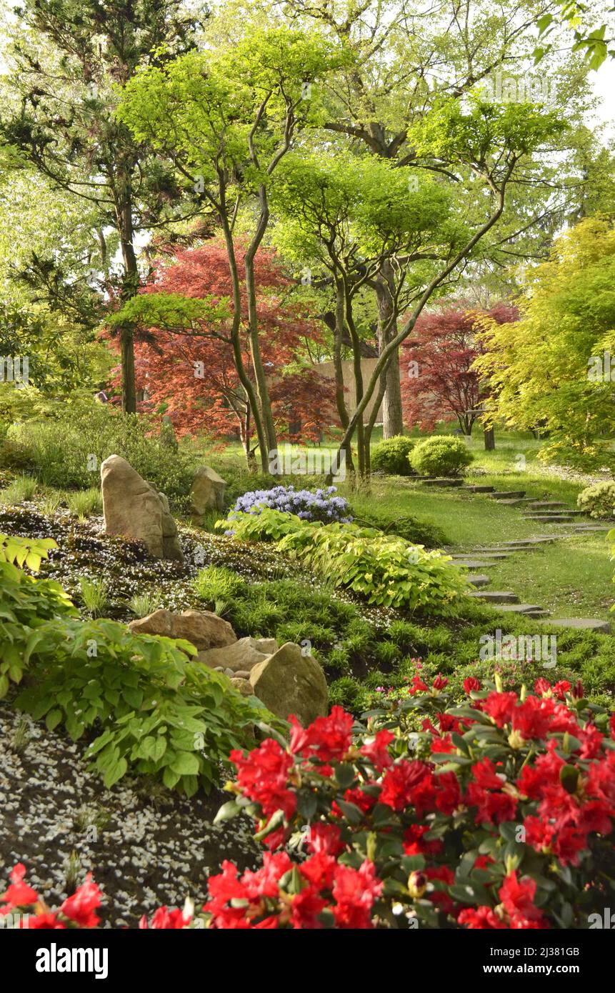 Giardino Botanico di Troja a Praga Repubblica Ceca. Giardino giapponese con vegetazione lussureggiante e fiori in primavera. Foto Stock