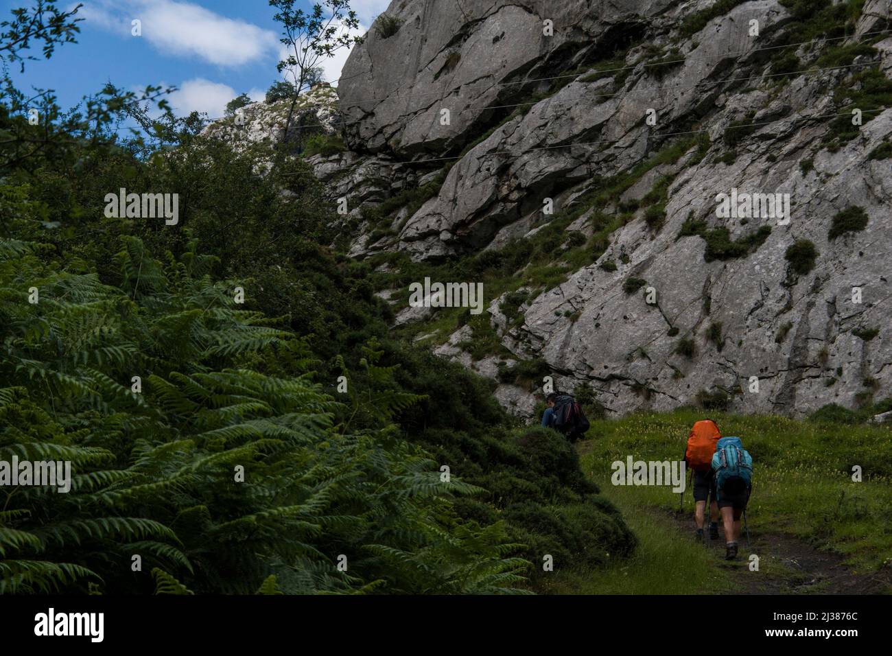 Gli escursionisti vanno in salita con zaini in una verde vegetazione lussureggiante e un ambiente roccioso Foto Stock