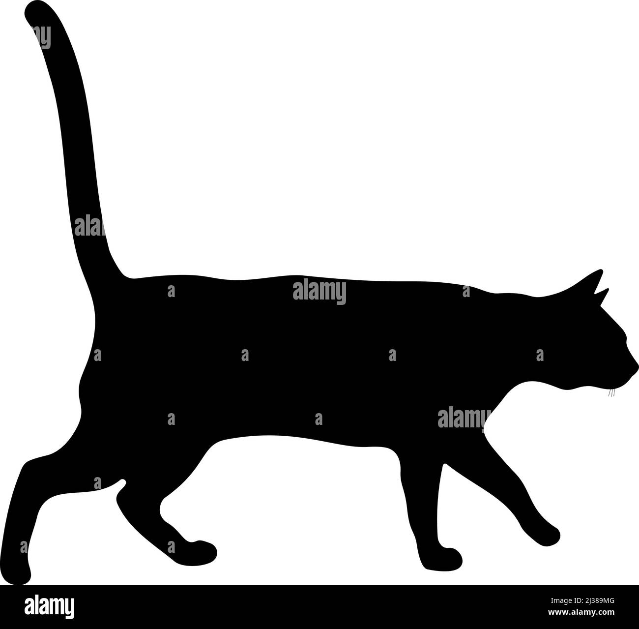 Silhouette nera di un gatto su sfondo bianco. Immagine vettoriale. Illustrazione Vettoriale