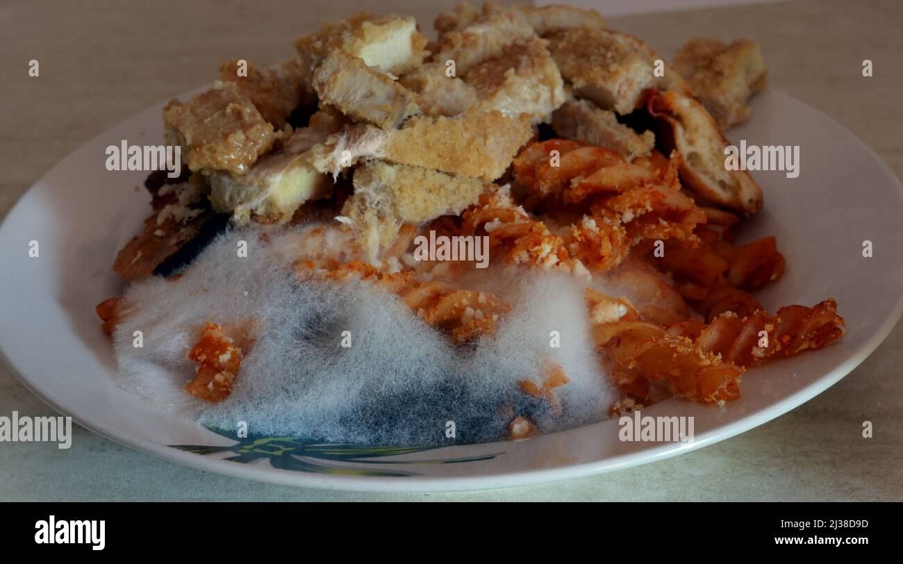 Cibo Mold.Bad cibo con muffa, pasta e carne. Foto Stock