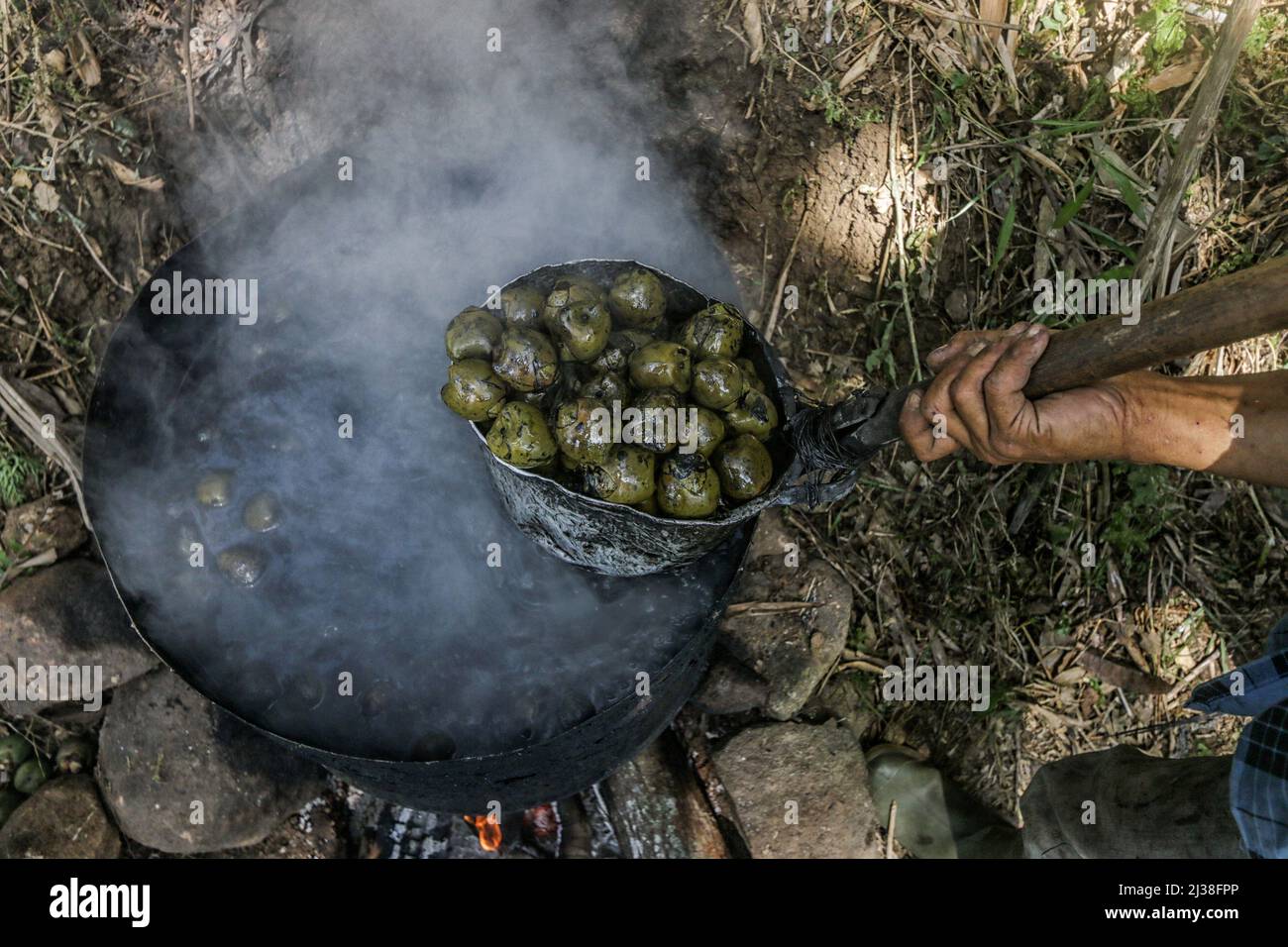 Bogor, Indonesia. 05th Apr 2022. Un uomo bollisce un frutto di palma di zucchero chiamato Kolang Kaling in Rumpin, Bogor, Giava occidentale, Indonesia, il 6 aprile, 2022. La frutta di palma di zucchero è uno degli antipasti favoriti e facilmente trovato durante il mese santo musulmano di Ramadan per il relativo alto contenuto di zucchero. (Foto di Andi M Ridwan/INA Photo Agency/Sipa USA) Credit: Sipa USA/Alamy Live News Foto Stock