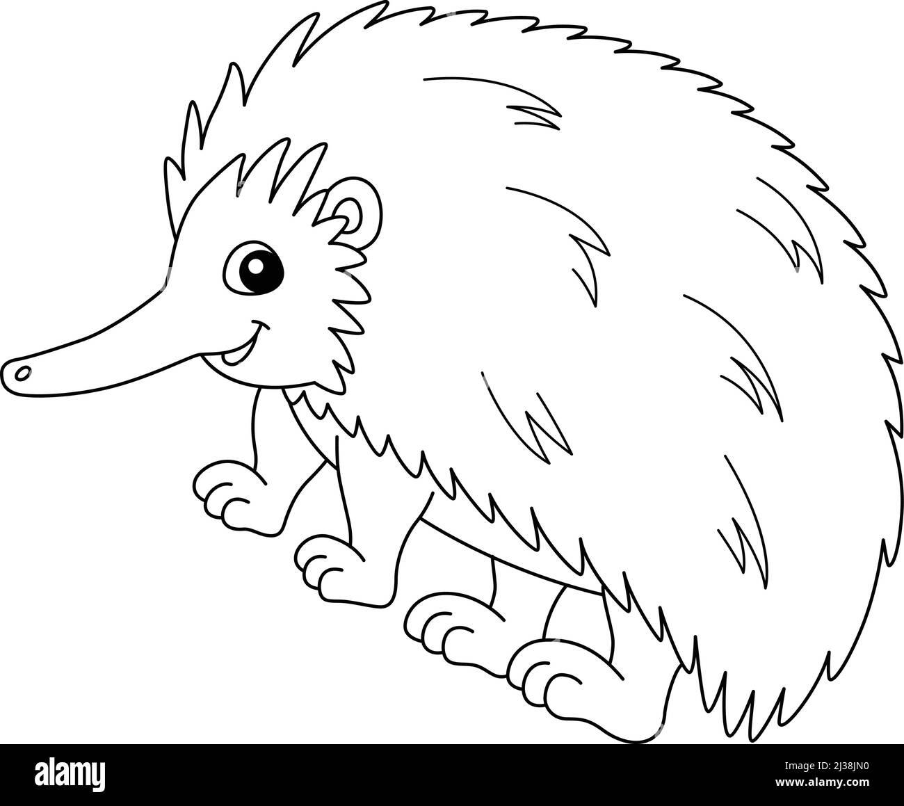 Echidna colorazione animale pagina isolato per i bambini Illustrazione Vettoriale