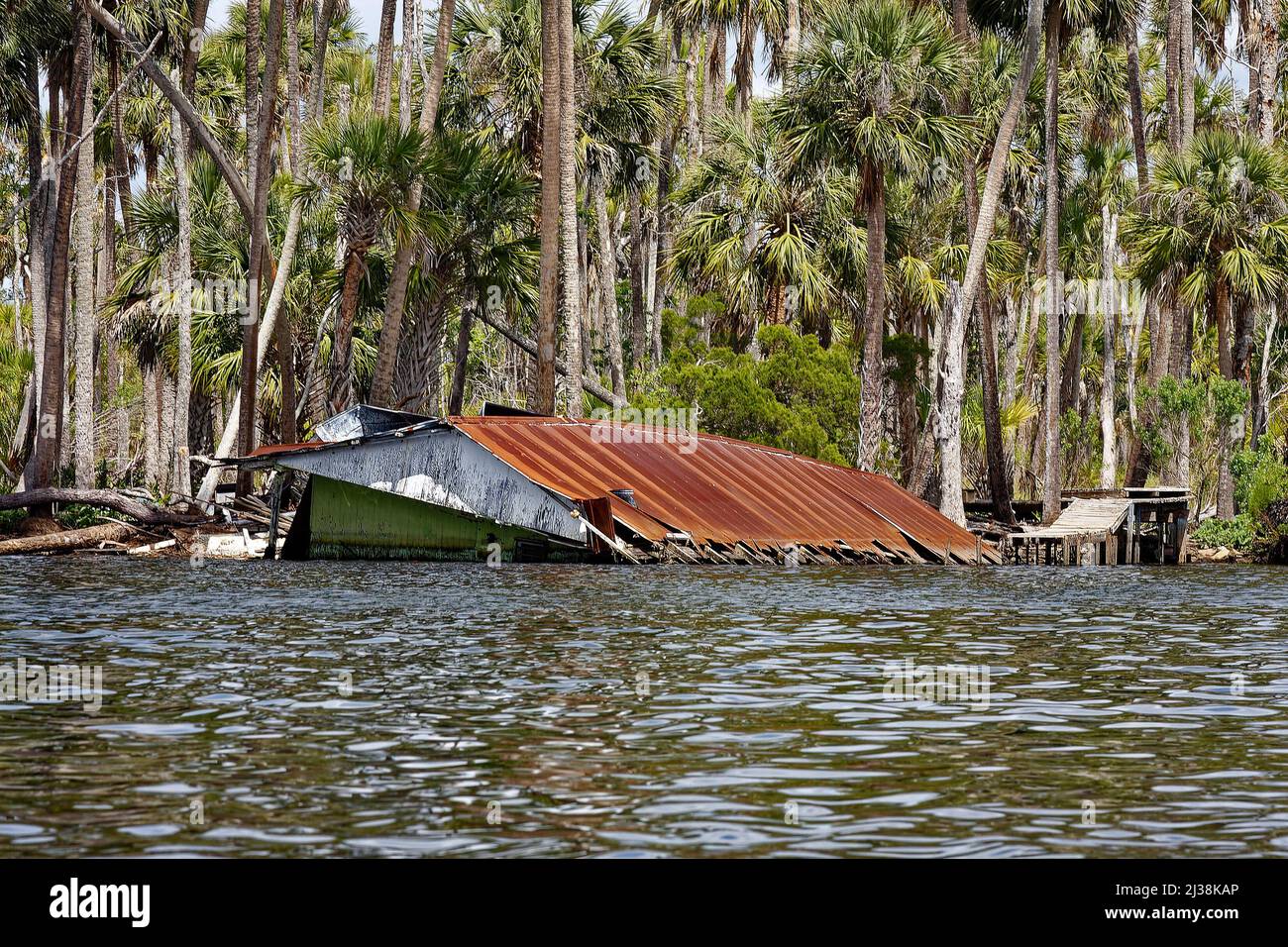 bacino abbandonato, tetto, collassato in acqua, palme, marciando, Derelitto, vecchio, Chassakowitzka National Wildlife Refuge; Florida; Crystal River; FL; s Foto Stock