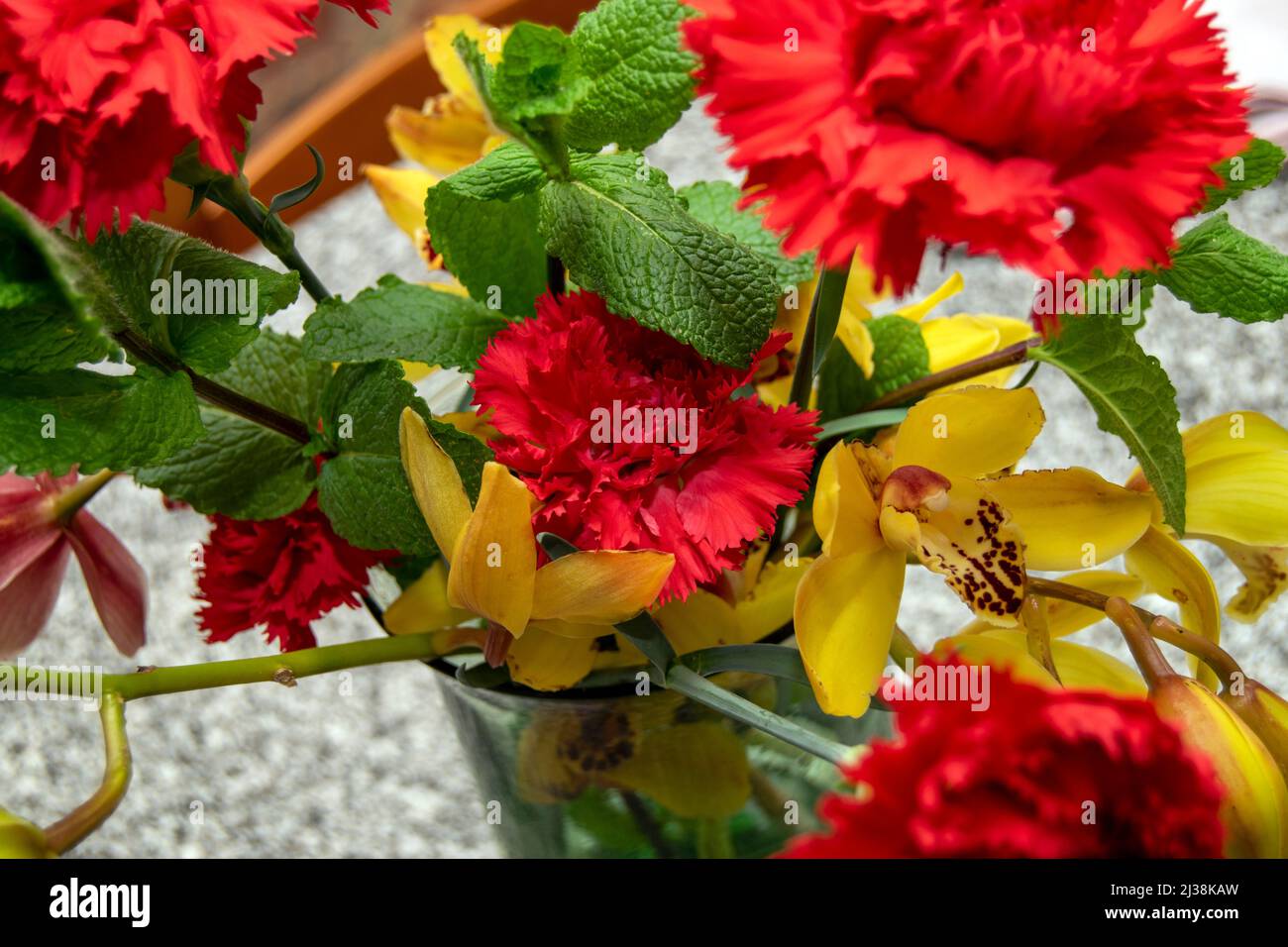 Dianthus Fiori, Carnazione fiore, il garofano rosso è legato a sentimenti come stima, affetto, ammirazione e amore. Fiore nazionale di Spagna. Foto Stock