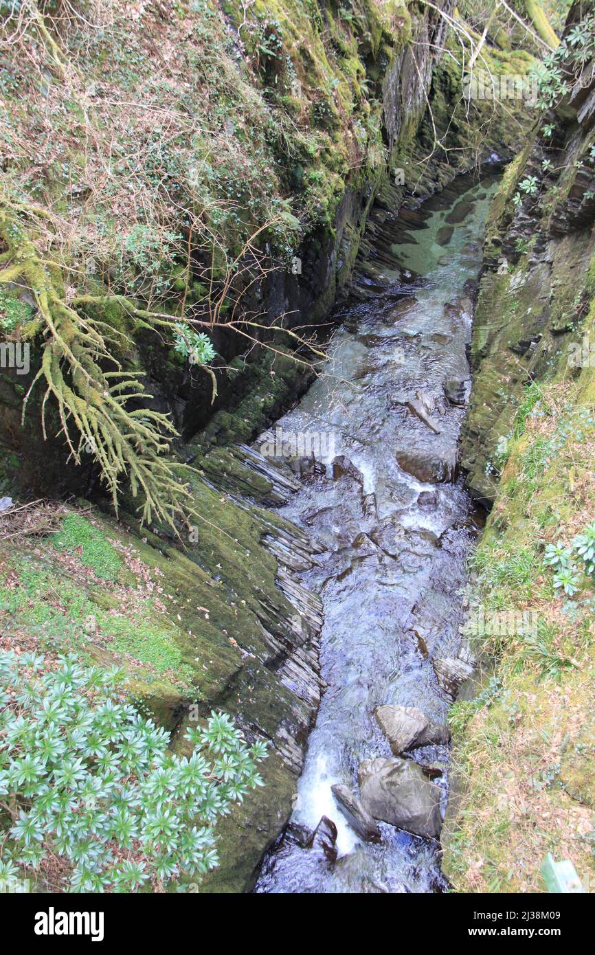 Cascate di Devil's Bridge, Aberystwyth - una spettacolare attrazione a cascata e sentiero natura nel cuore delle Montagne Cambriane gallesi - Regno Unito, PETER GRANT Foto Stock