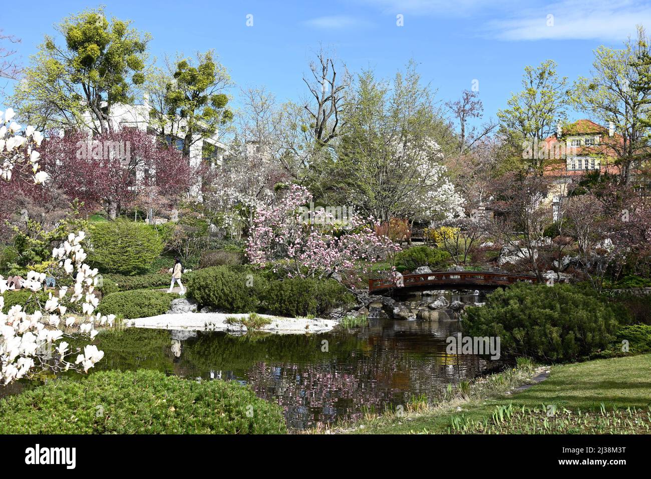 Vienna, Austria. Aprile 06, 2022. Setagayapark a Vienna. Setagaya Park è stato progettato nel 1992 dal giardiniere del paesaggio Ken Nakajima dal Giappone Foto Stock