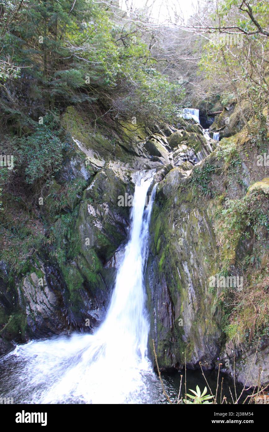 Cascate di Devil's Bridge, Aberystwyth - una spettacolare attrazione a cascata e sentiero natura nel cuore delle Montagne Cambriane gallesi - Regno Unito, PETER GRANT Foto Stock