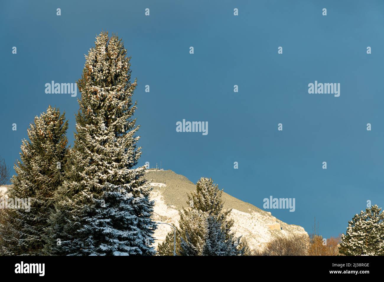 Cedar Mountain e pini con neve sullo sfondo del cielo blu per il tuo messaggio di testo. La posizione è Cody, Wyoming, con torri di comunicazione. Foto Stock